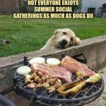 Not everyone enjoys summer social events as much as dogs do | NOT EVERYONE ENJOYS SUMMER SOCIAL GATHERINGS AS MUCH AS DOGS DO | image tagged in golden retriever dog staring longingly at barbecue | made w/ Imgflip meme maker