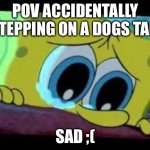 Aaaaaawoooooooooooooooo | POV ACCIDENTALLY STEPPING ON A DOGS TAIL; SAD ;( | image tagged in sad spongebob | made w/ Imgflip meme maker