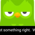 Duo doesn't care | Finally you got something right.  Whoopdee do! | image tagged in duolingo was unimpressed | made w/ Imgflip meme maker