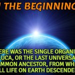 In The Beginning... There Was The Single Organism, Luca, From Which All Life On Earth Descended. | IN THE BEGINNING... THERE WAS THE SINGLE ORGANISM,
LUCA, OR THE LAST UNIVERSAL
COMMON ANCESTOR, FROM WHICH
ALL LIFE ON EARTH DESCENDED. | image tagged in in the beginning,life,evolution,charles darwin,anti-religion,god religion universe | made w/ Imgflip meme maker