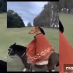 Dog riding horse GIF Template