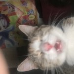 Me when I open my phone at 3AM