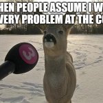 deer interview | WHEN PEOPLE ASSUME I WILL SOLVE EVERY PROBLEM AT THE COMPANY | image tagged in deer interview | made w/ Imgflip meme maker