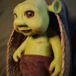 Baby Shrek meme