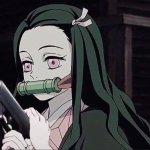 nezuko gun