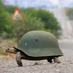 Panzer Turtle