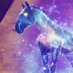 starhorse