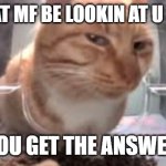 cat sideeye | HOW THAT MF BE LOOKIN AT U IN CLASS; WHEN YOU GET THE ANSWER RIGHT | image tagged in cat sideeye,umm | made w/ Imgflip meme maker