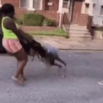 Fight GIF Template