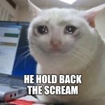 Crying cat | HE HOLD BACK 
THE SCREAM | image tagged in crying cat | made w/ Imgflip meme maker