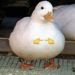Ddd