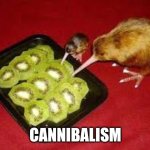 Kiwi bird eating kiwi... | CANNIBALISM | image tagged in kiwi eating kiwi,cannibalism,funny,memes,funny memes,bird | made w/ Imgflip meme maker
