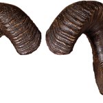 Goat horns