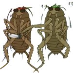 Bad Roaches