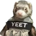 Woe, tactical ferret be upon ye