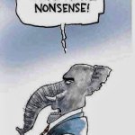 Woke Nonsense