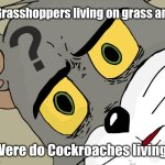 defently a fun fact | If Grasshoppers living on grass and; Were do Cockroaches living | image tagged in memes,unsettled tom | made w/ Imgflip meme maker