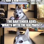 Bad Pun Dog | A POLAR BEAR WALKS INTO A BAR AND SAYS TO THE BARTENDER “I’LL HAVE A RUM …………………. AND COKE.”; THE BARTENDER ASKS, “WHAT’S WITH THE BIG PAUSE?”; THE BEAR SHRUGS. “I WAS BORN WITH THEM.” | image tagged in memes,bad pun dog | made w/ Imgflip meme maker