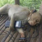 Sad monkey with headphones
