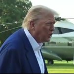 Trump they don't know what they're doing
