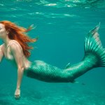 sophia turner mermaid