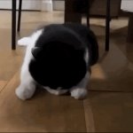 Kat laser