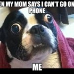 Funny Dog | WHEN MY MOM SAYS I CAN'T GO ON MY 
PHONE; ME | image tagged in funny dog | made w/ Imgflip meme maker