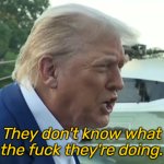 Trump - They don't know what the fuck they're doing.