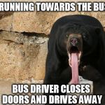 Bear with tongue sticking out | RUNNING TOWARDS THE BUS BUS DRIVER CLOSES DOORS AND DRIVES AWAY | image tagged in bear with tongue sticking out | made w/ Imgflip meme maker