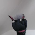 Tony the Pony GIF Template