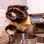 Racoon cook
