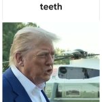 Trump They don't know wtf they're doing meme