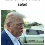 Trump They don't know wtf they're doing