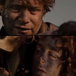 Remember Mr. Frodo