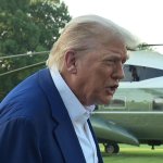 Trump they dont know wtf they're doing