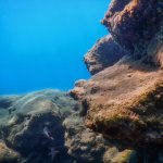 underwater rocks