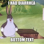 Big Chungus | I HAD DIARRHEA; BOTTOM TEXT | image tagged in big chungus | made w/ Imgflip meme maker