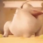 The fuckle knuckle GIF Template