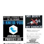 End abortion