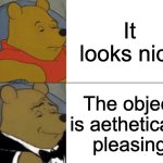 English Class be like | It looks nice; The object is aethetically pleasing | image tagged in memes,tuxedo winnie the pooh | made w/ Imgflip meme maker