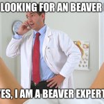 Beaver Expert | ARE YOU LOOKING FOR AN BEAVER EXPERT? YES, I AM A BEAVER EXPERT | image tagged in gynecologist phone,beaver,funny,funny memes | made w/ Imgflip meme maker