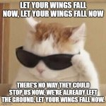 Cool cat | LET YOUR WINGS FALL NOW, LET YOUR WINGS FALL NOW; THERE'S NO WAY THEY COULD STOP US NOW, WE'RE ALREADY LEFT THE GROUND, LET YOUR WINGS FALL NOW. | image tagged in cool cat,meme,memes,g20,lyrics,song | made w/ Imgflip meme maker