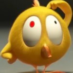Confused chicky
