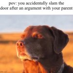 my time has come | pov: you accidentally slam the door after an argument with your parent | image tagged in dog accepting fate,oops,memes,funny,guess i'll die | made w/ Imgflip meme maker
