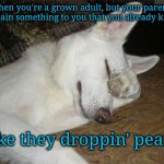 Ya don't say | When you're a grown adult, but your parents explain something to you that you already know; deadboxprime; Like they droppin' pearls | image tagged in really | made w/ Imgflip meme maker