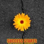 Success can start small | SUCCESS STARTS IN SMALL WAYS. | image tagged in flower in concrete | made w/ Imgflip meme maker