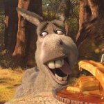 Donkey and waffles