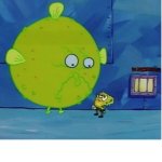 Spongebob pufferfish