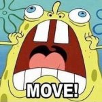 MOVE!