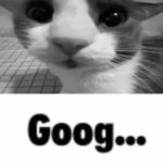 Goog meme